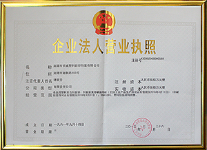 企业法人营业执照